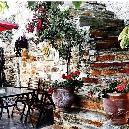 Aggeliki *