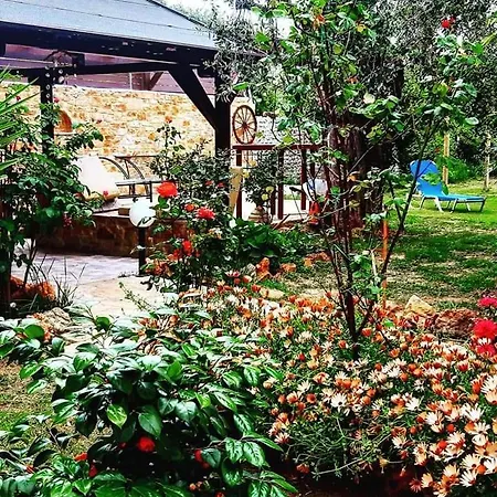 Apartment Aggeliki Prinos (Thasos)