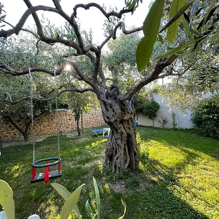 Aggeliki *