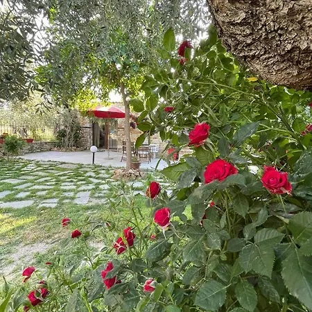Aggeliki Appartement Prínos