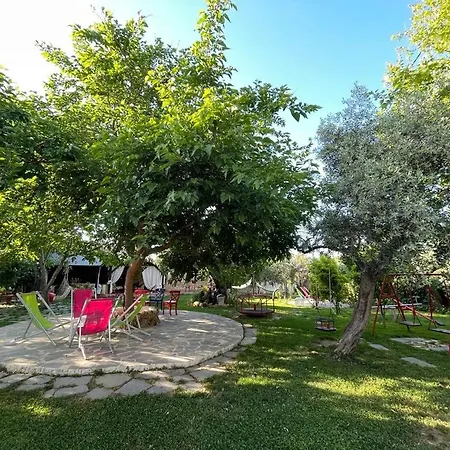 Aggeliki Принос