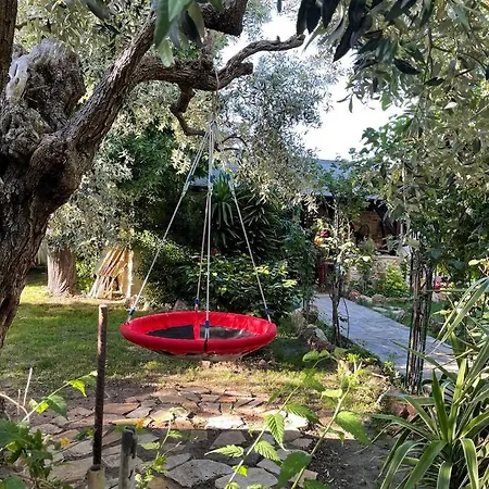 Aggeliki Apartment Prinos (Thasos)
