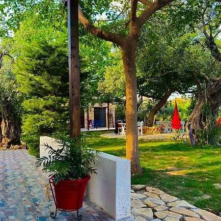 Apartment Aggeliki *