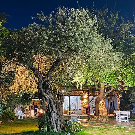 Aggeliki *