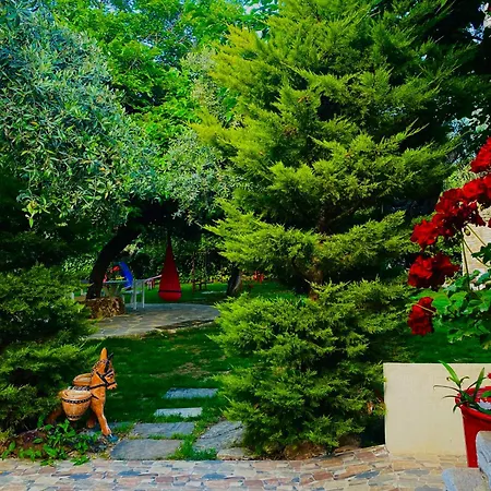 Aggeliki Apartament *